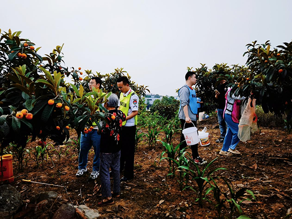 第八黨支部開展“南郊鄉(xiāng)匯·愛心助農” 志愿者活動2.png